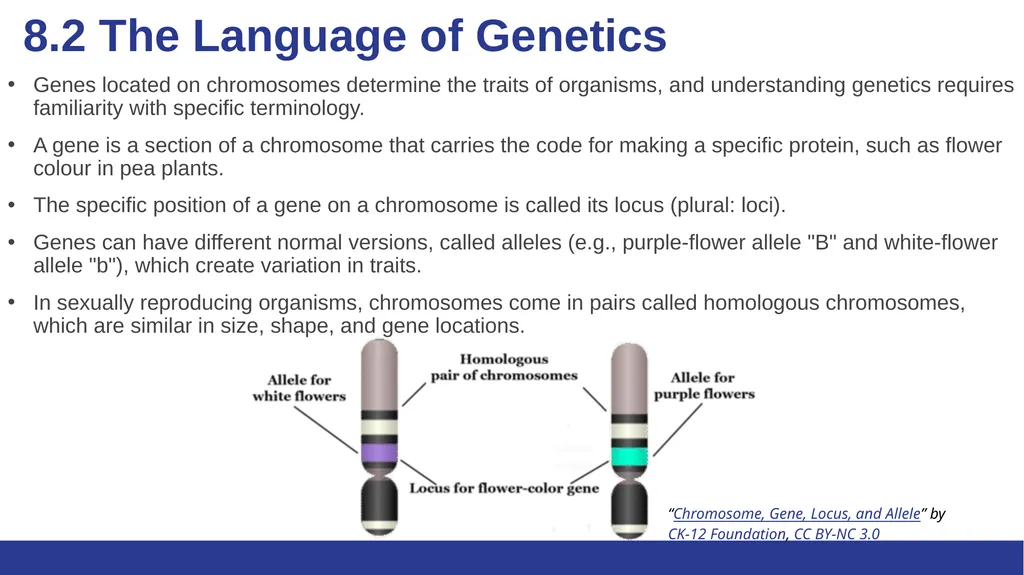 Biology Essentials Chapter 8: Patterns of - slide 8 of 25