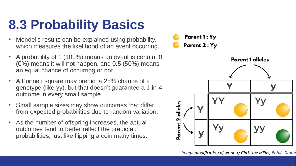 Biology Essentials Chapter 8: Patterns of - slide 11 of 25