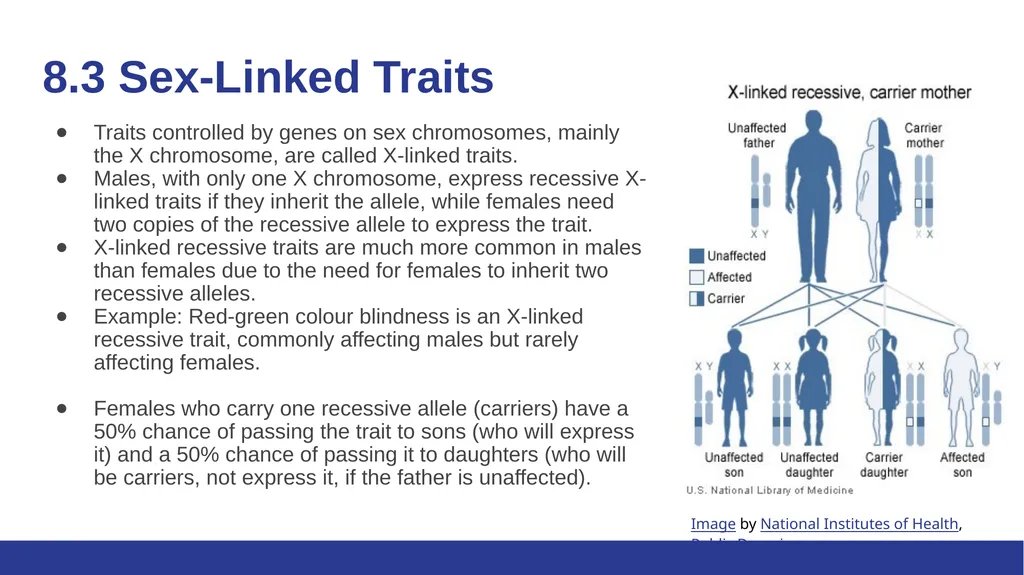 Biology Essentials Chapter 8: Patterns of - slide 14 of 25