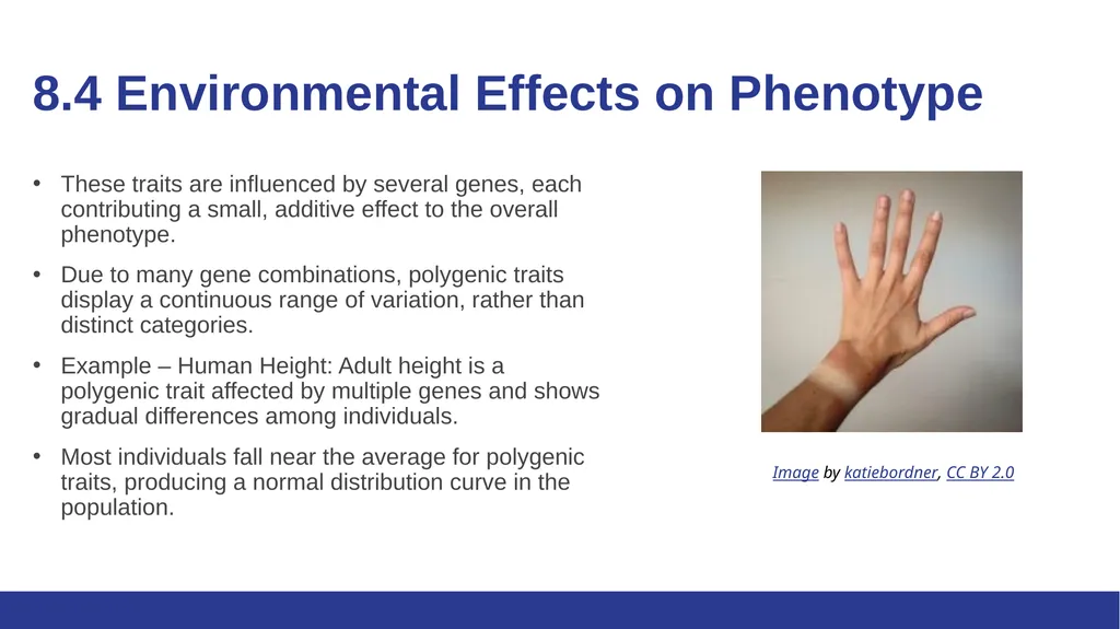 Biology Essentials Chapter 8: Patterns of - slide 20 of 25
