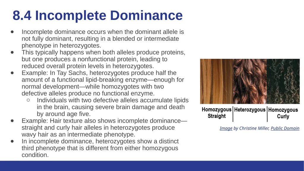 Biology Essentials Chapter 8: Patterns of - slide 18 of 25