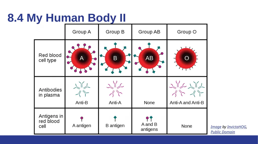 Biology Essentials Chapter 8: Patterns of - slide 24 of 25