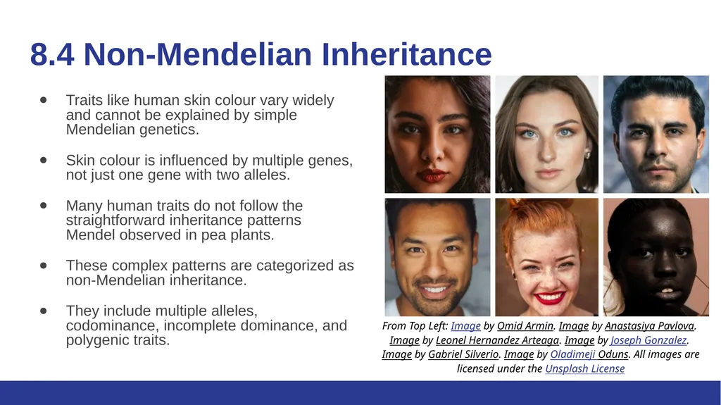 Biology Essentials Chapter 8: Patterns of - slide 16 of 25