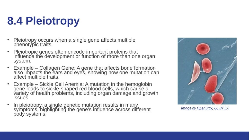Biology Essentials Chapter 8: Patterns of - slide 21 of 25