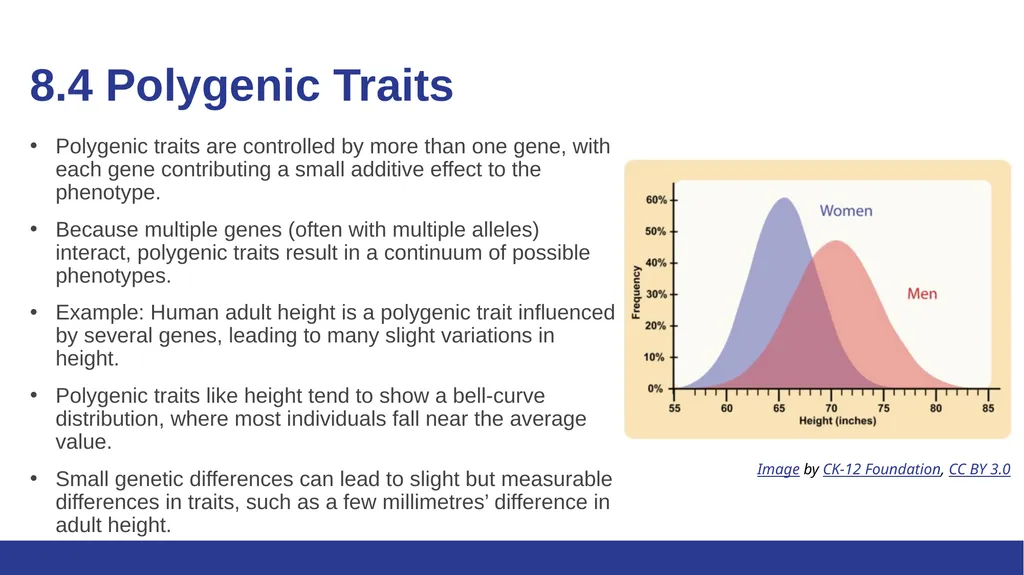 Biology Essentials Chapter 8: Patterns of - slide 19 of 25