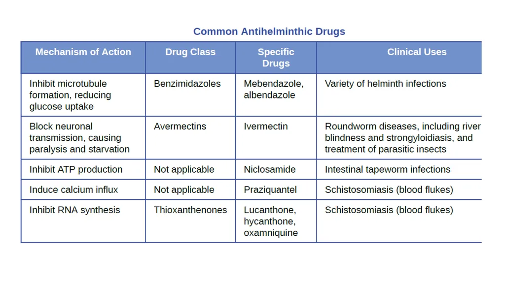 Antiprotozoal and anthelminthic agents - slide 13 of 13