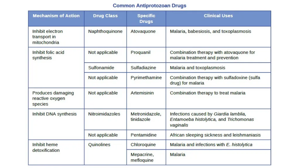 Antiprotozoal and anthelminthic agents - slide 7 of 13