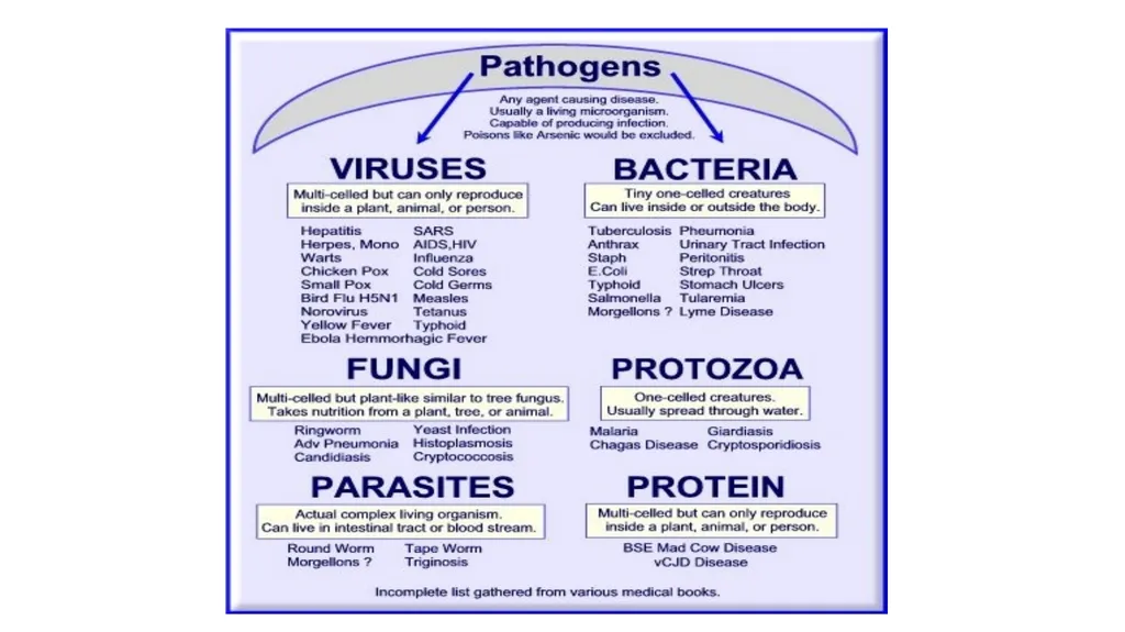 infection control Fatima Elamin Hamid PhD student - slide 10 of 21