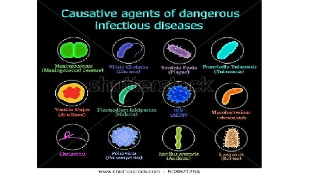 infection control Fatima Elamin Hamid PhD student - slide 8 of 21