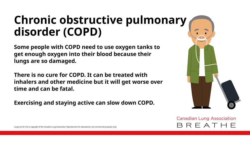 Includes emphysema and chronic bronchitis Makes - slide 2 of 2