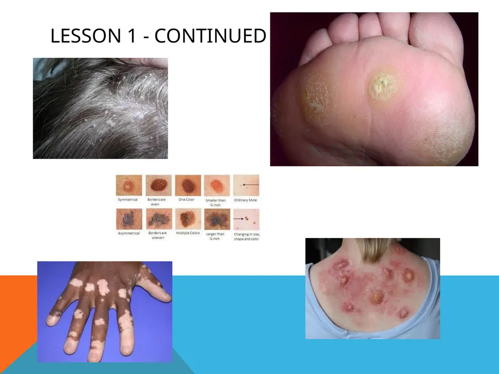 Chapter 14 Personal care & healthy behaviors - slide 6 of 17