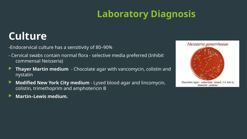 NEISSERIA Gonorrhoeae (GONOCOCCUS ) Virulence - slide 12 of 15
