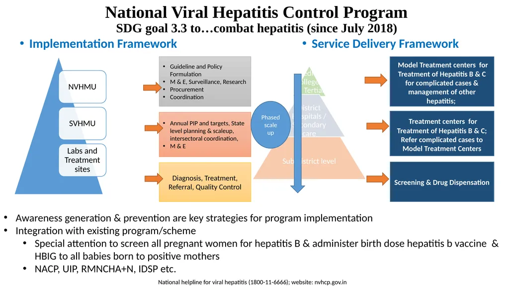 National Viral Hepatitis Control Program SDG goal