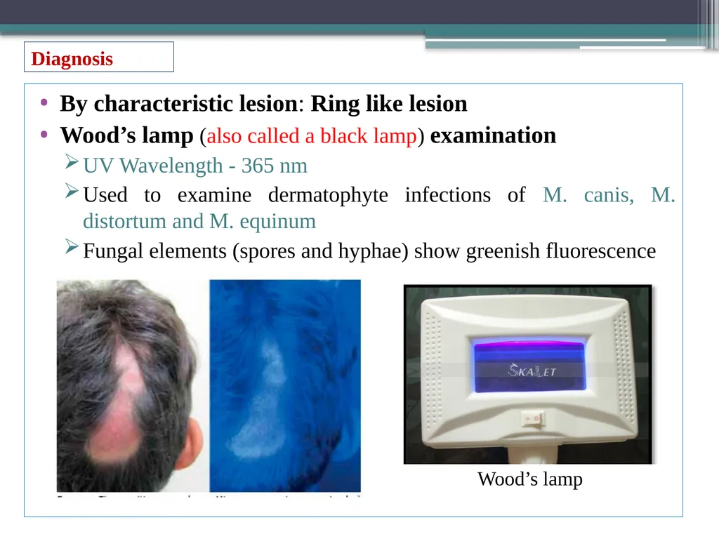 UNIT-3 ‘Zoonotic disease’ (Credit Hours-3+1) - slide 14 of 19