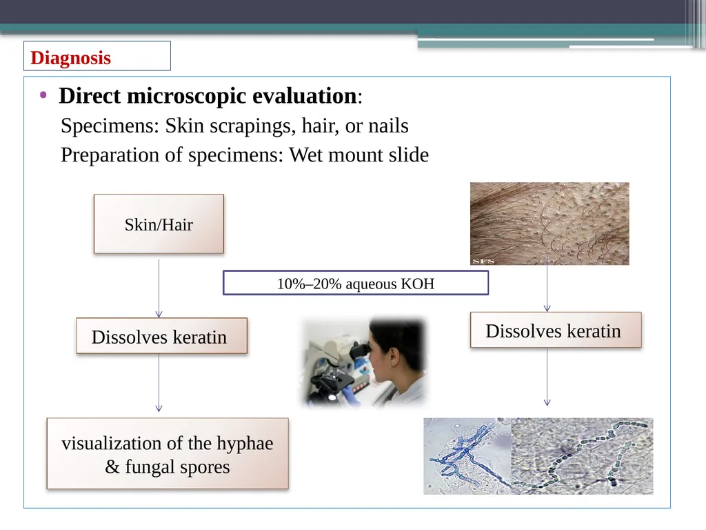 UNIT-3 ‘Zoonotic disease’ (Credit Hours-3+1) - slide 15 of 19