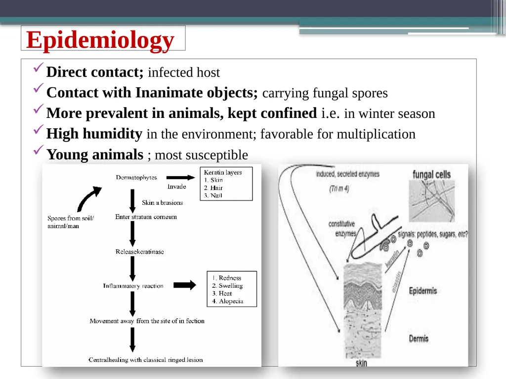 UNIT-3 ‘Zoonotic disease’ (Credit Hours-3+1) - slide 11 of 19