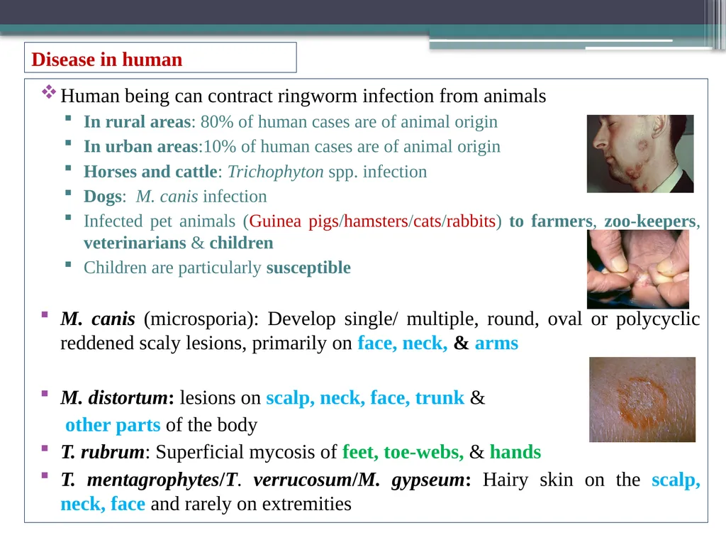 UNIT-3 ‘Zoonotic disease’ (Credit Hours-3+1) - slide 13 of 19