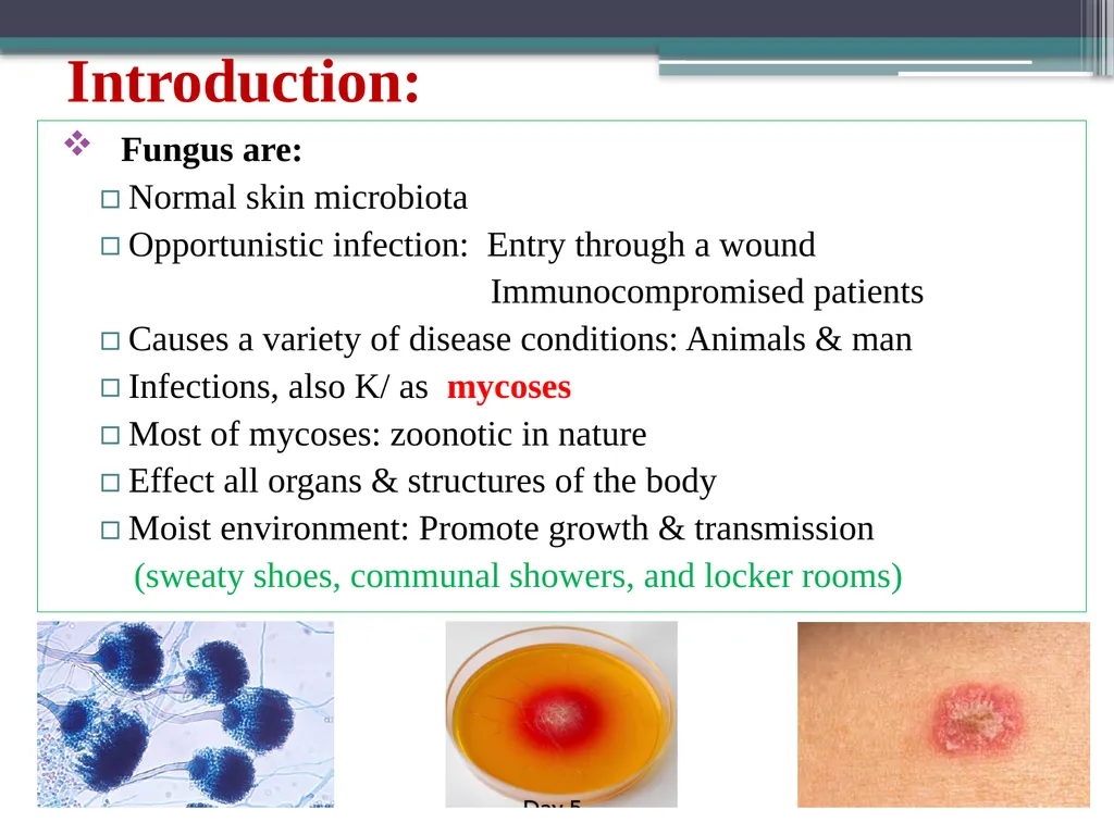 UNIT-3 ‘Zoonotic disease’ (Credit Hours-3+1) - slide 4 of 19
