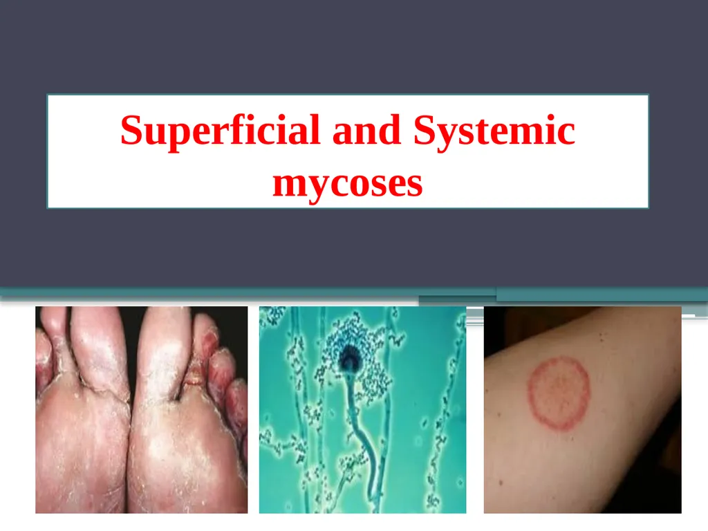 UNIT-3 ‘Zoonotic disease’ (Credit Hours-3+1) - slide 2 of 19