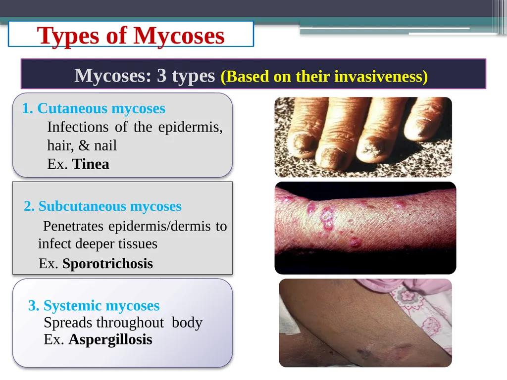 UNIT-3 ‘Zoonotic disease’ (Credit Hours-3+1) - slide 5 of 19