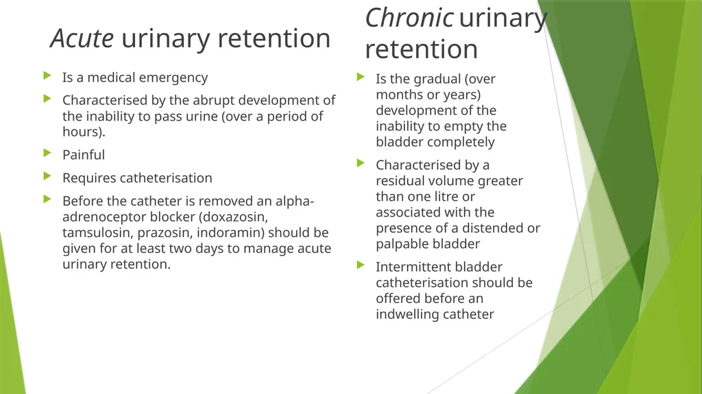 Elderly Urinary Incontinence Causes & Care August - slide 30 of 50