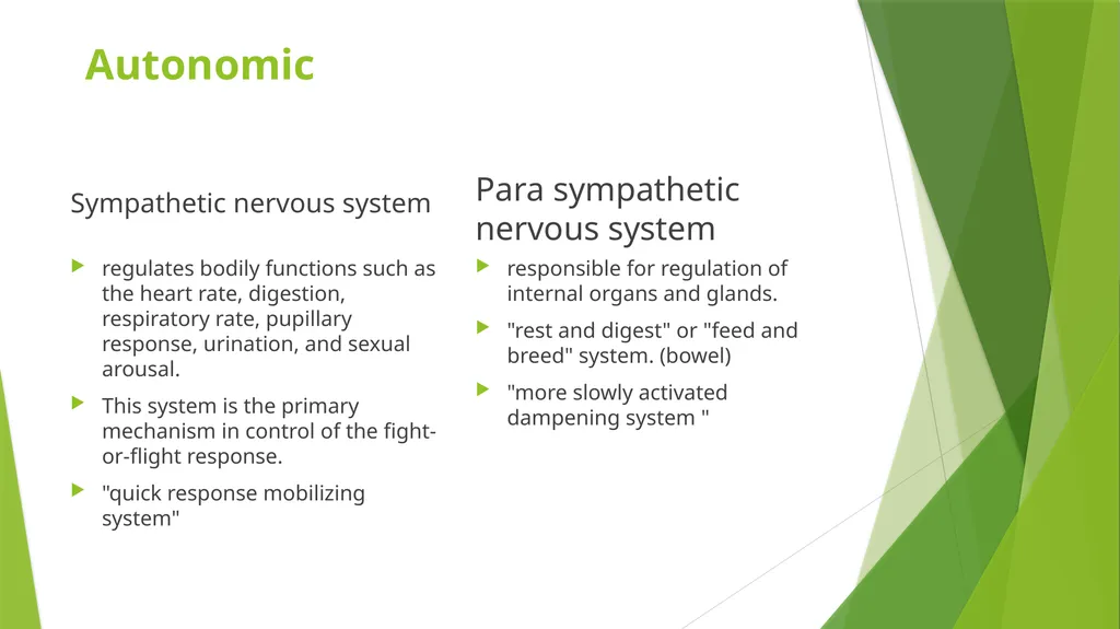 Elderly Urinary Incontinence Causes & Care August - slide 8 of 50