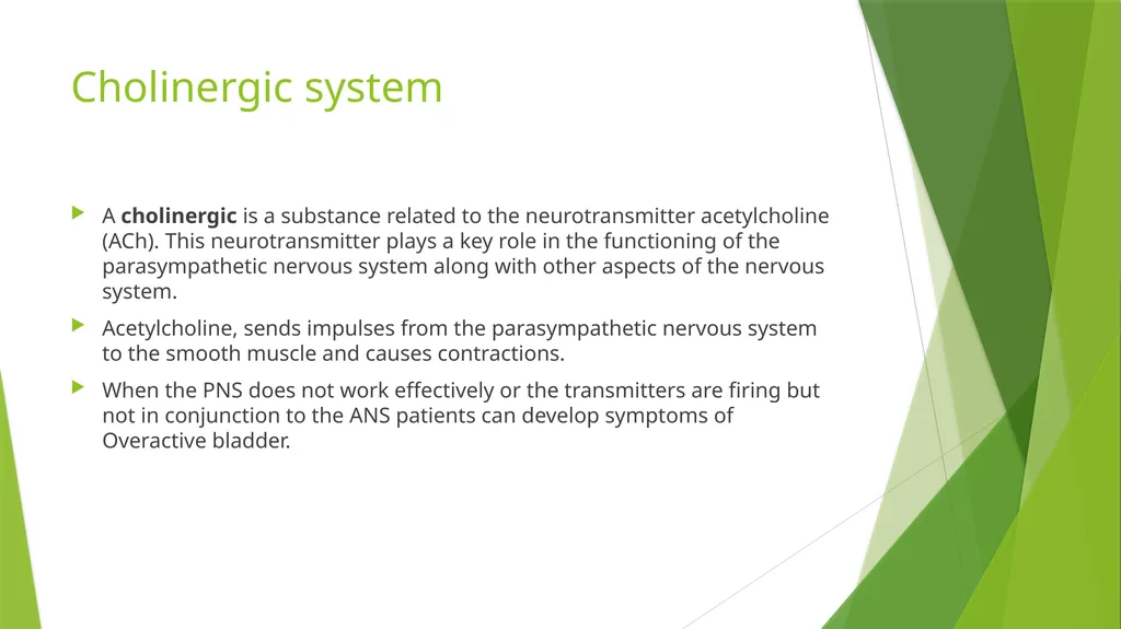 Elderly Urinary Incontinence Causes & Care August - slide 11 of 50