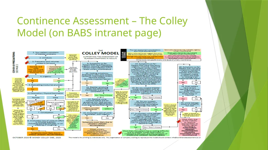 Elderly Urinary Incontinence Causes & Care August - slide 38 of 50