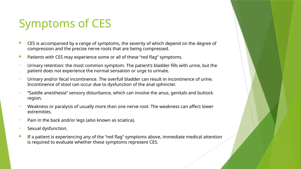 Elderly Urinary Incontinence Causes & Care August - slide 29 of 50