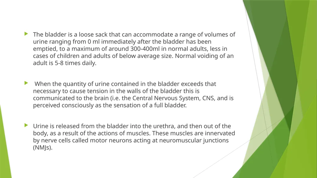 Elderly Urinary Incontinence Causes & Care August - slide 7 of 50