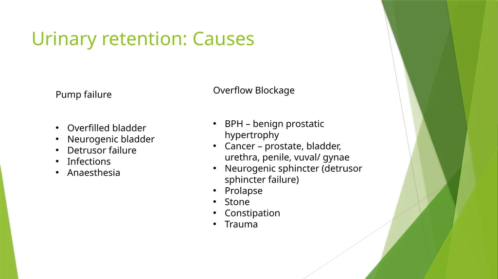 Elderly Urinary Incontinence Causes & Care August - slide 32 of 50