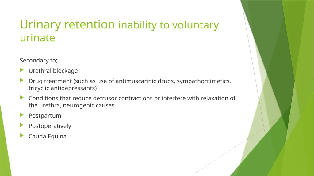 Elderly Urinary Incontinence Causes & Care August - slide 27 of 50