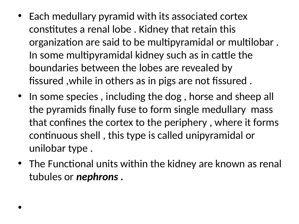 Urinary system The urinary system comprise paired - slide 10 of 10