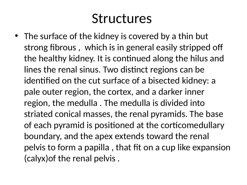 Urinary system The urinary system comprise paired - slide 7 of 10