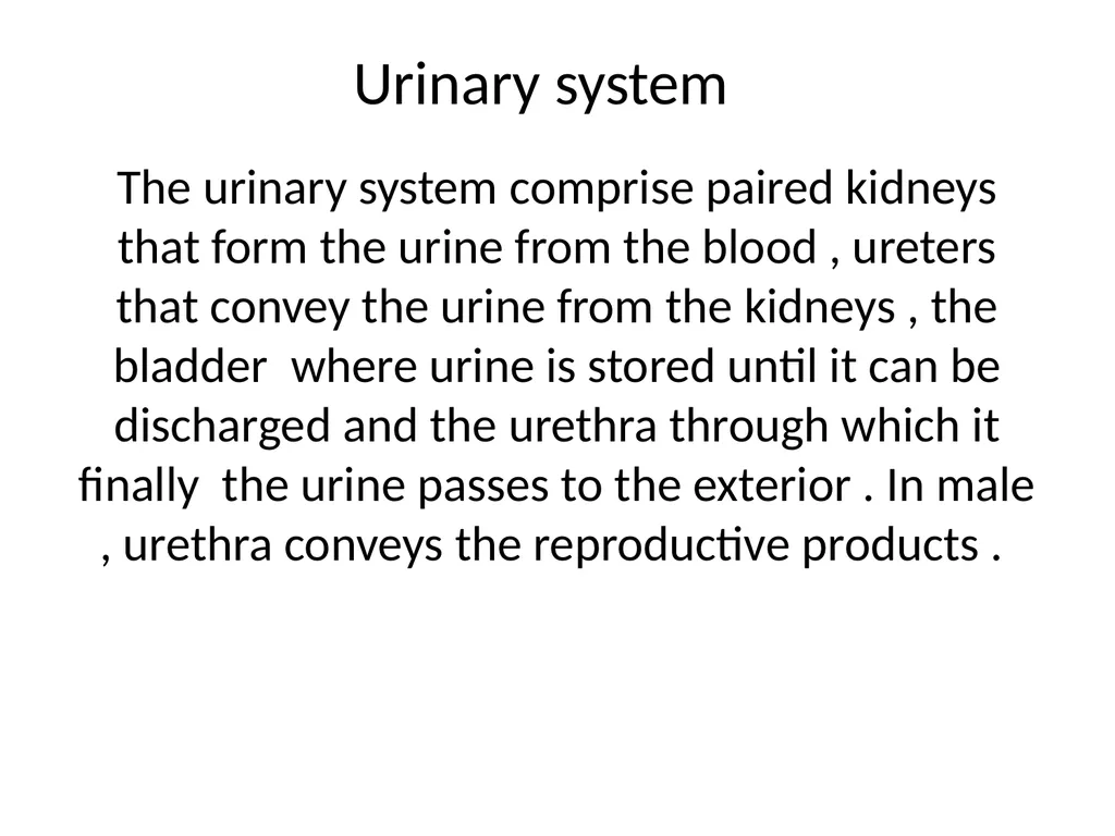 Urinary system The urinary system comprise paired