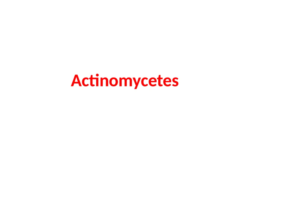Actinomycetes classification Domain:Bacteria - slide 1 of 30
