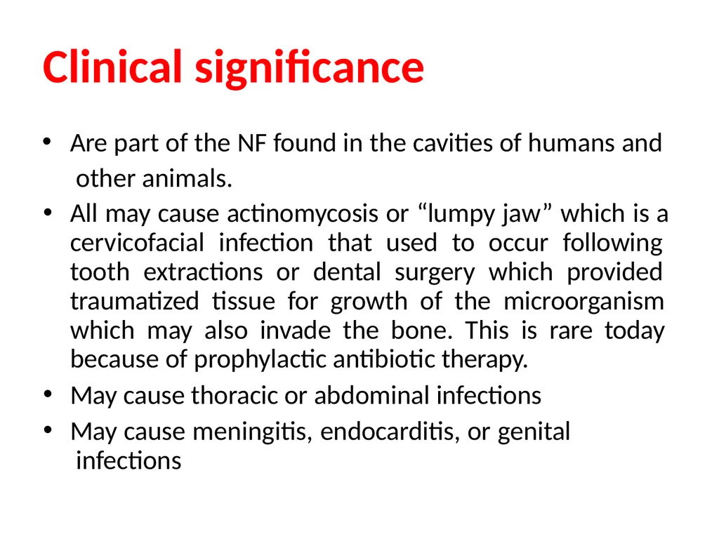 Actinomycetes classification Domain:Bacteria - slide 23 of 30