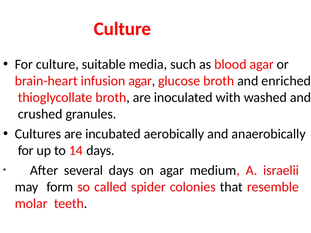 Actinomycetes classification Domain:Bacteria - slide 27 of 30