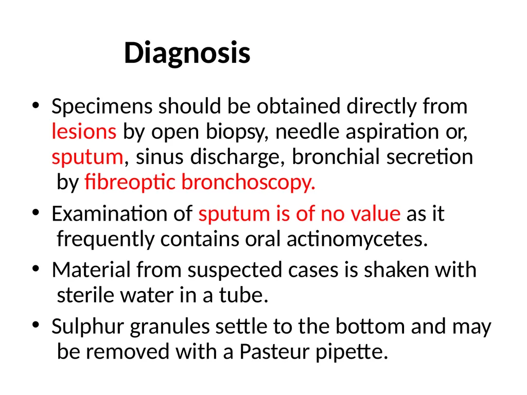 Actinomycetes classification Domain:Bacteria - slide 25 of 30