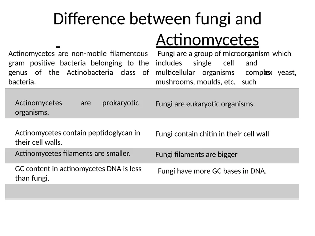 Actinomycetes classification Domain:Bacteria - slide 10 of 30