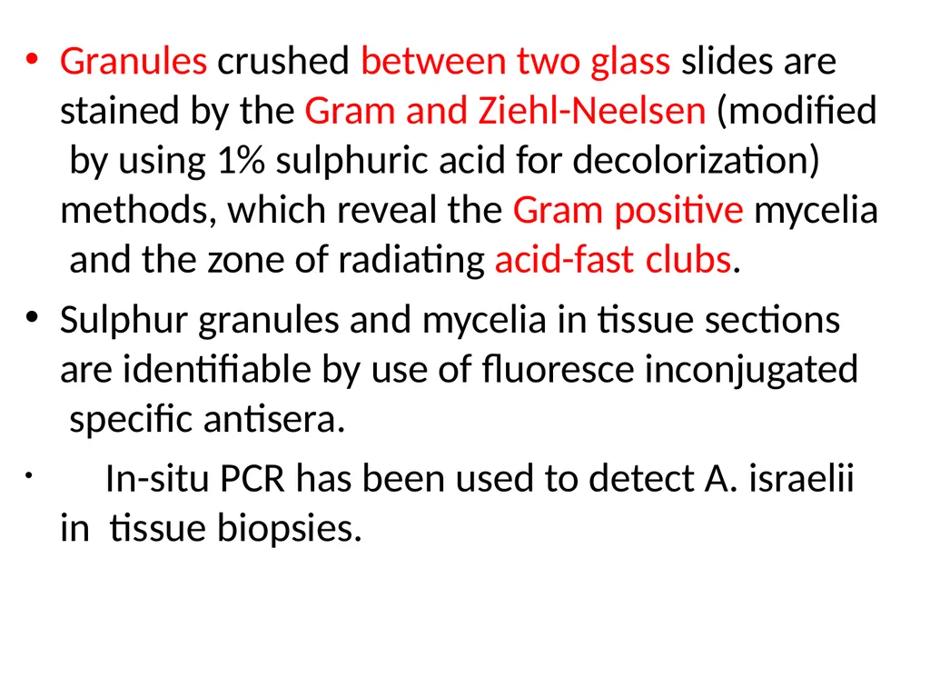Actinomycetes classification Domain:Bacteria - slide 26 of 30