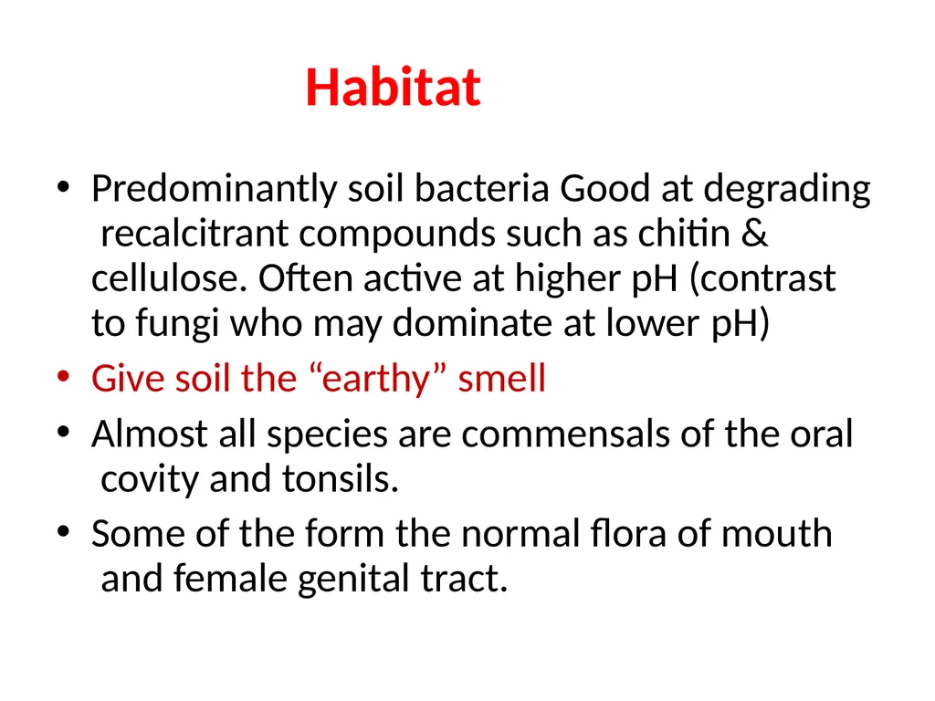 Actinomycetes classification Domain:Bacteria - slide 5 of 30