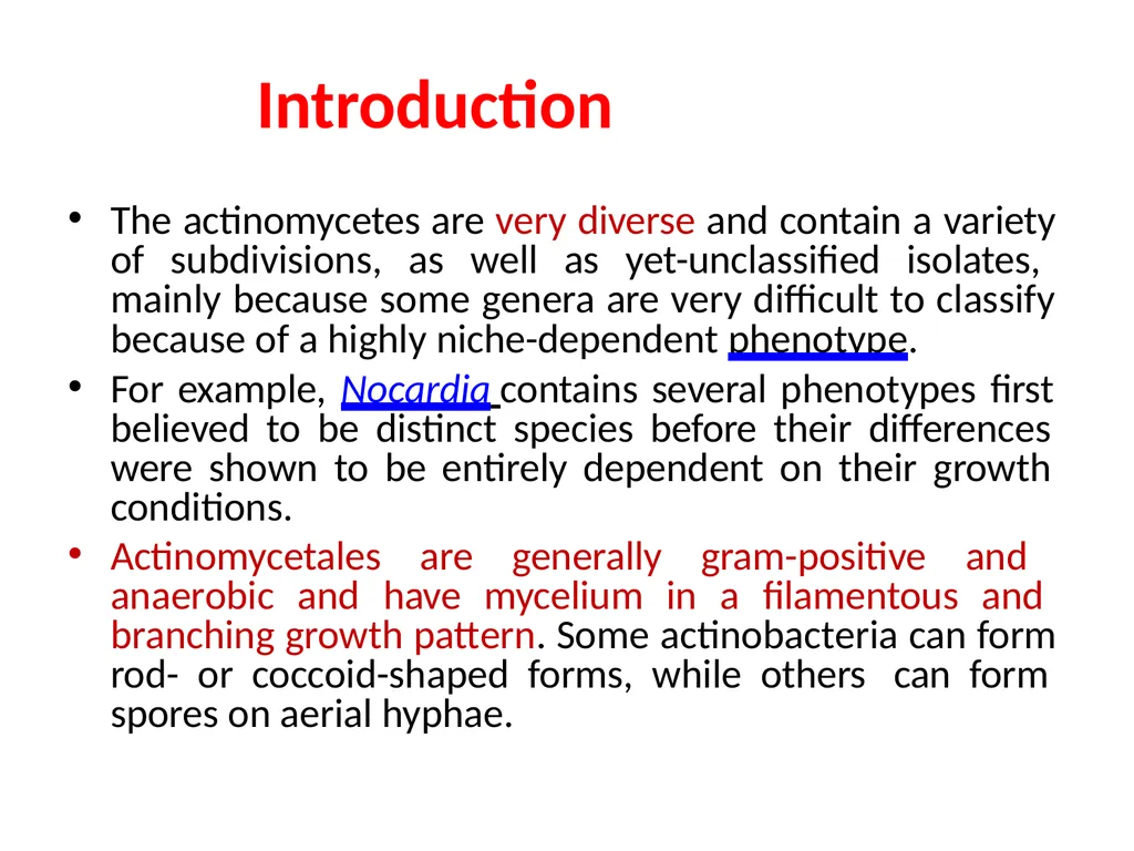 Actinomycetes classification Domain:Bacteria - slide 3 of 30