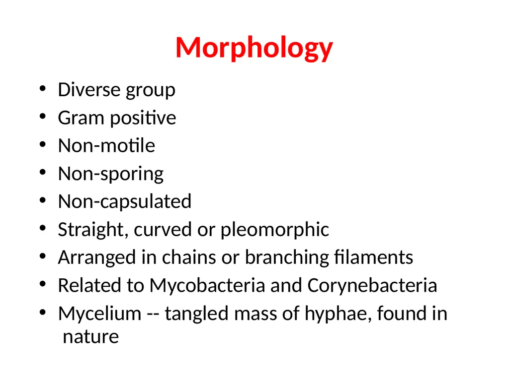 Actinomycetes classification Domain:Bacteria - slide 6 of 30