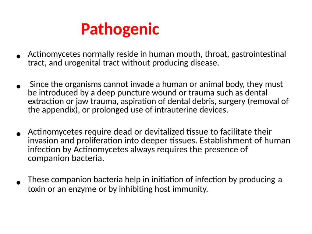 Actinomycetes classification Domain:Bacteria - slide 16 of 30