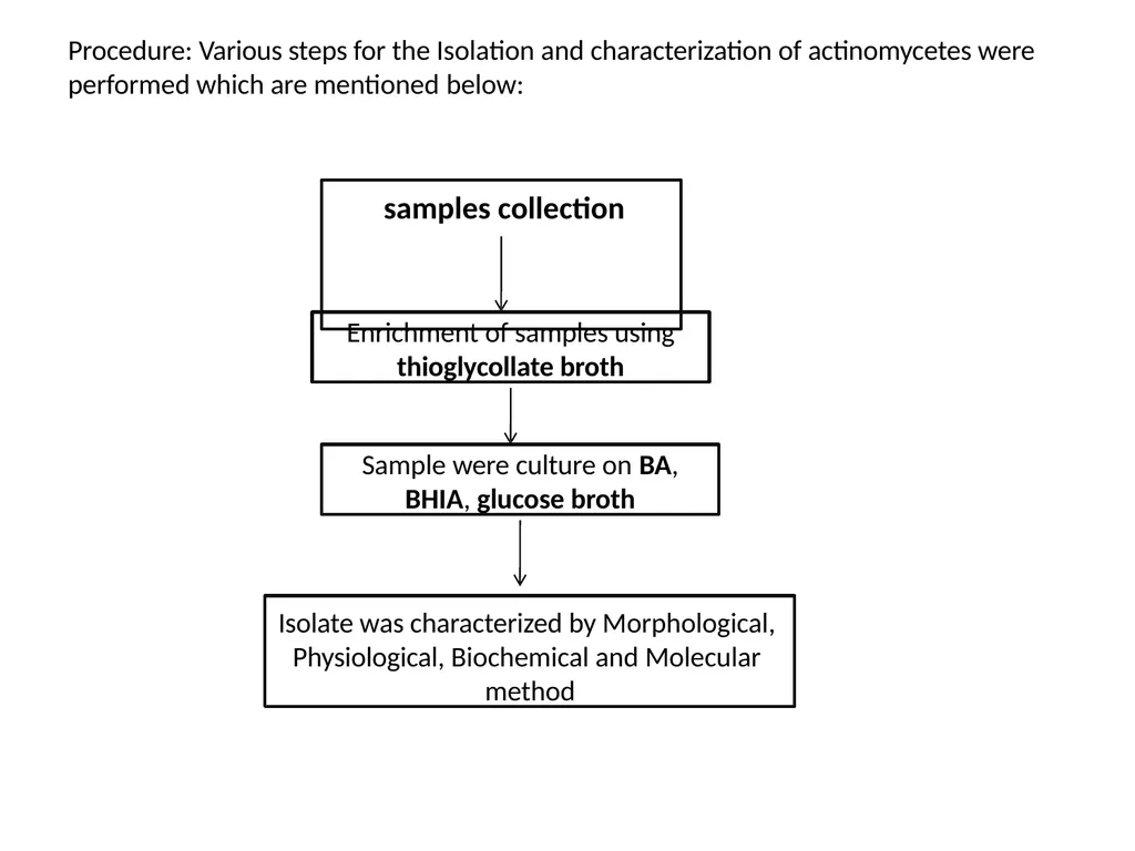 Actinomycetes classification Domain:Bacteria - slide 29 of 30