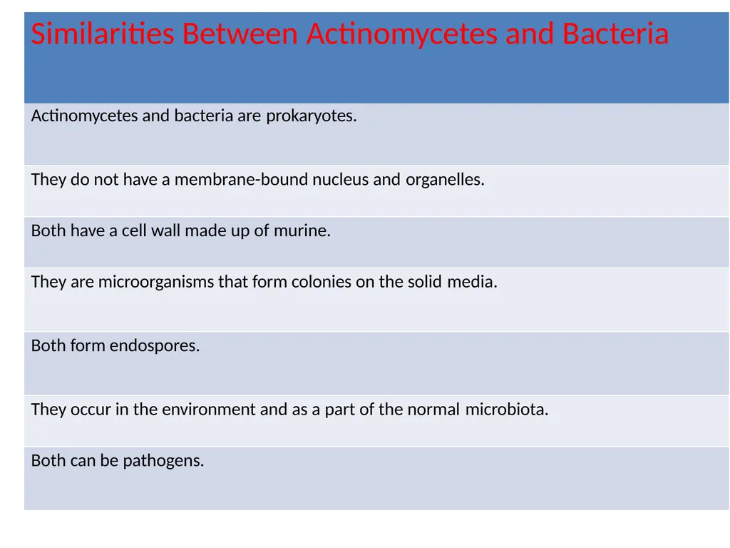 Actinomycetes classification Domain:Bacteria - slide 13 of 30