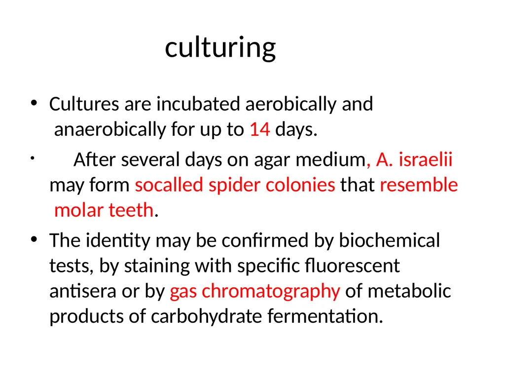 Actinomycetes classification Domain:Bacteria - slide 28 of 30