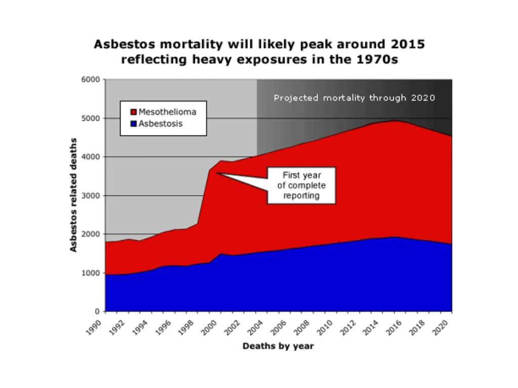 HEALTH EFFECTS OF ASBESTOS EXPOSURE Asbestos is a - slide 32 of 32
