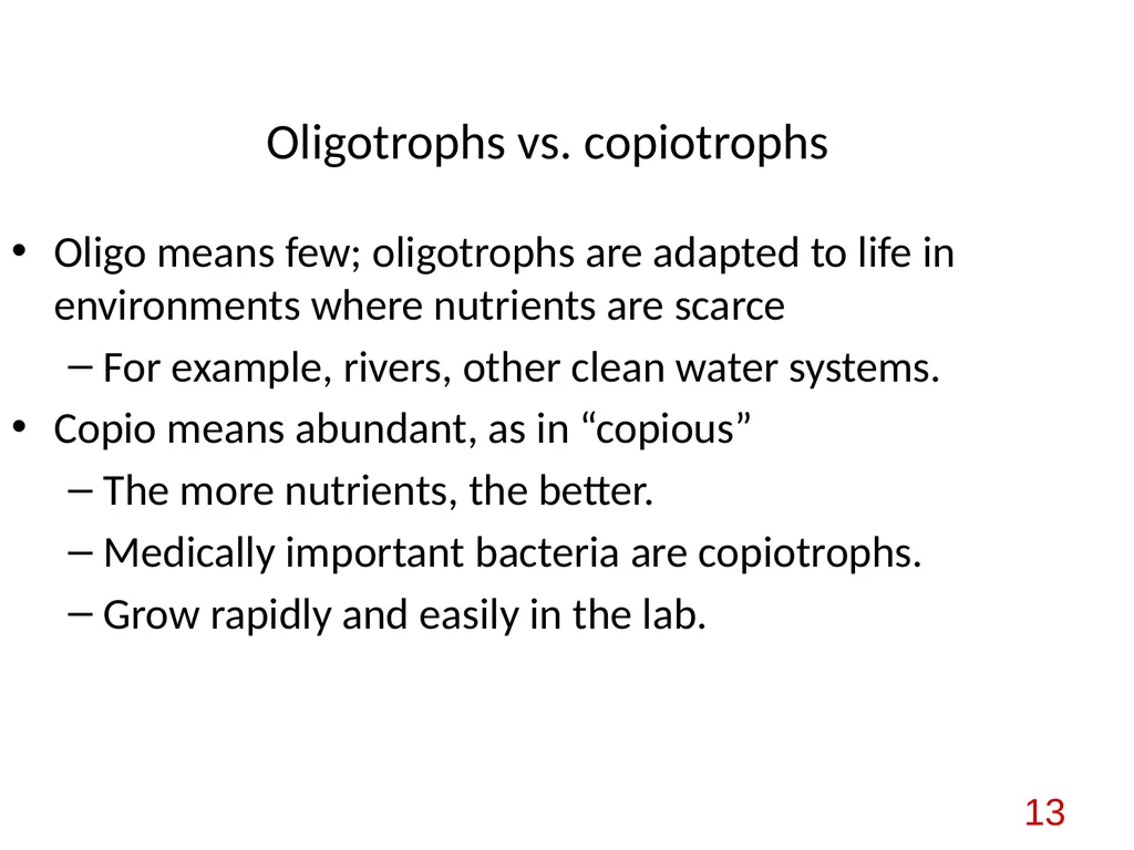 Bacterial nutrition: types and modes of nutrition - slide 13 of 26